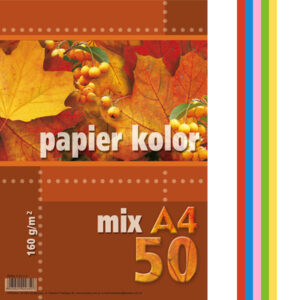 Papier kolor A4 160g/m2 mix 5-kolorów op. 50 ark., Kreska
